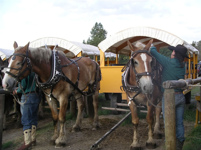 images/Cookout trip (41).jpg